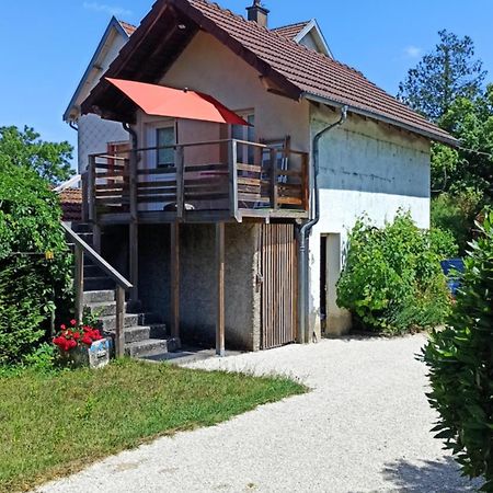 Une Tiny House A Decouvrir Au Coeur De La Cite ! Contrexéville Dış mekan fotoğraf